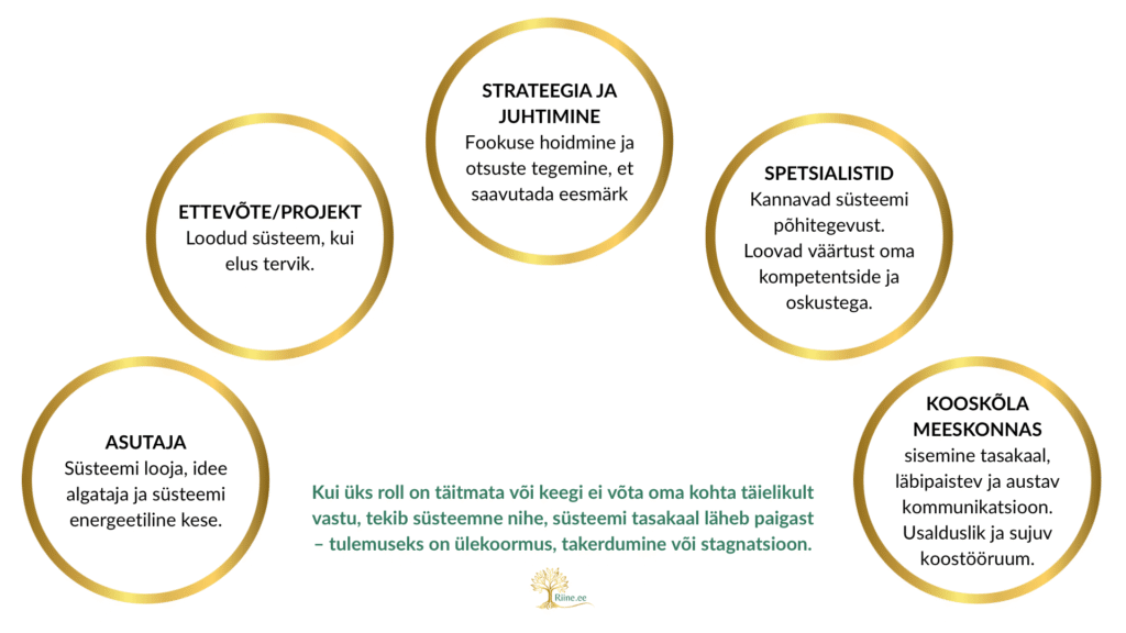 Süsteemne vaade ettevõtlusele, ettevõtja ja rollide olulisus taustapilt